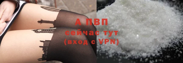 ECSTASY Волоколамск